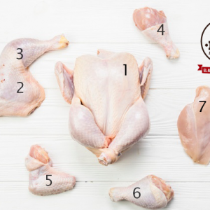partes-pollo_23-2147765499