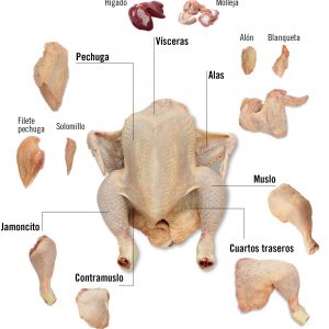 pollo 29696c73-f89b-4e1e-82da-1ade36a8c338